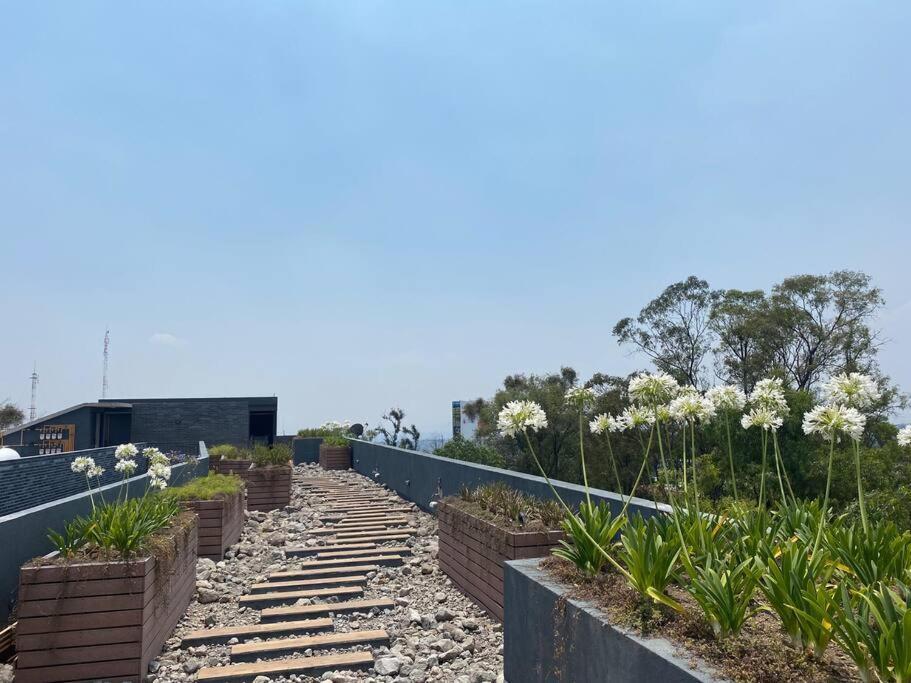 メキシコシティNuevo Y Ubicado Departamento Zona Santafeアパートメント エクステリア 写真